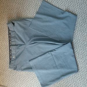 Express Editor Dress Pant